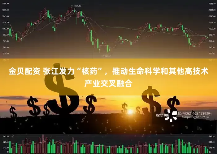 金贝配资 张江发力“核药”，推动生命科学和其他高技术产业交叉融合
